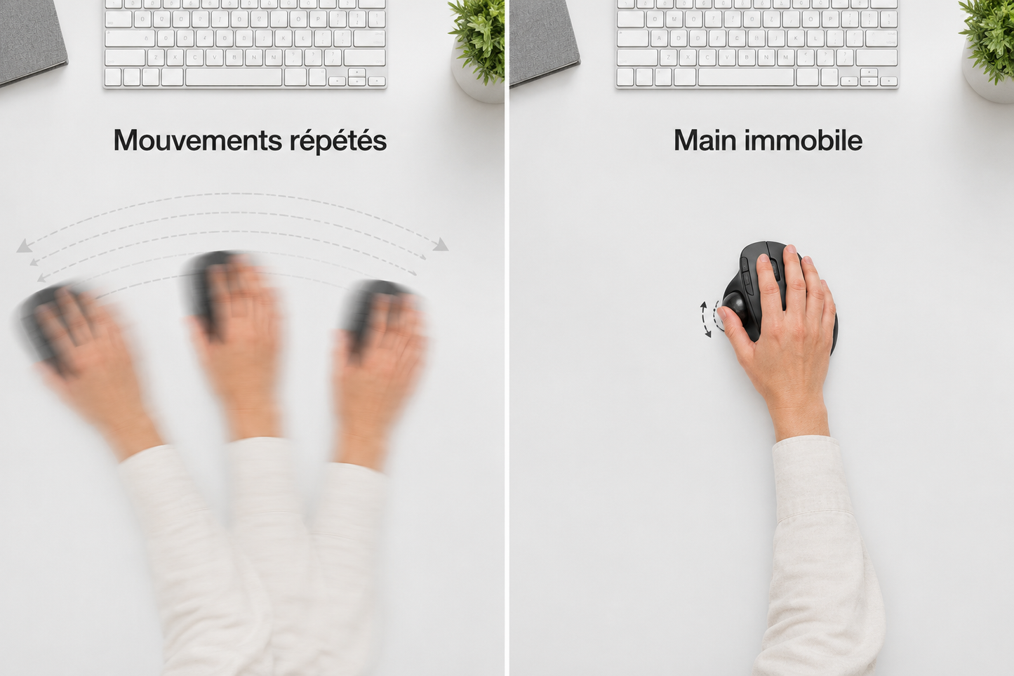 Souris Trackball Ergonomique — AGATE