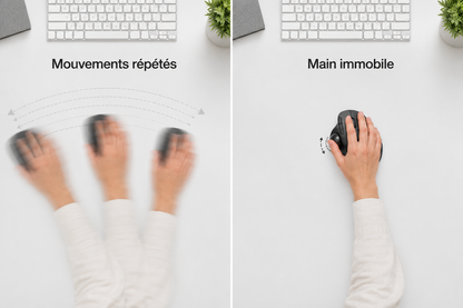 Souris Trackball Ergonomique — AGATE